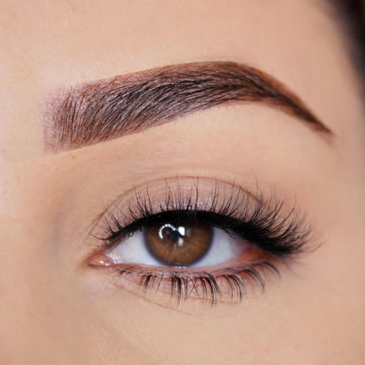 BOTTOM LASH