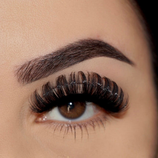 MUA LASH