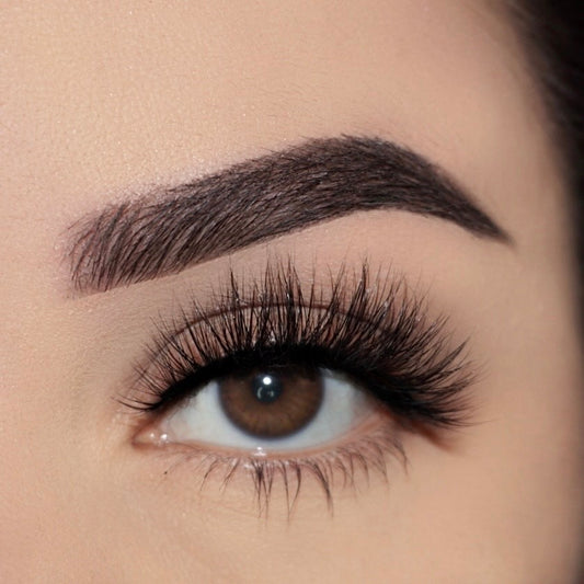 KATT LASH