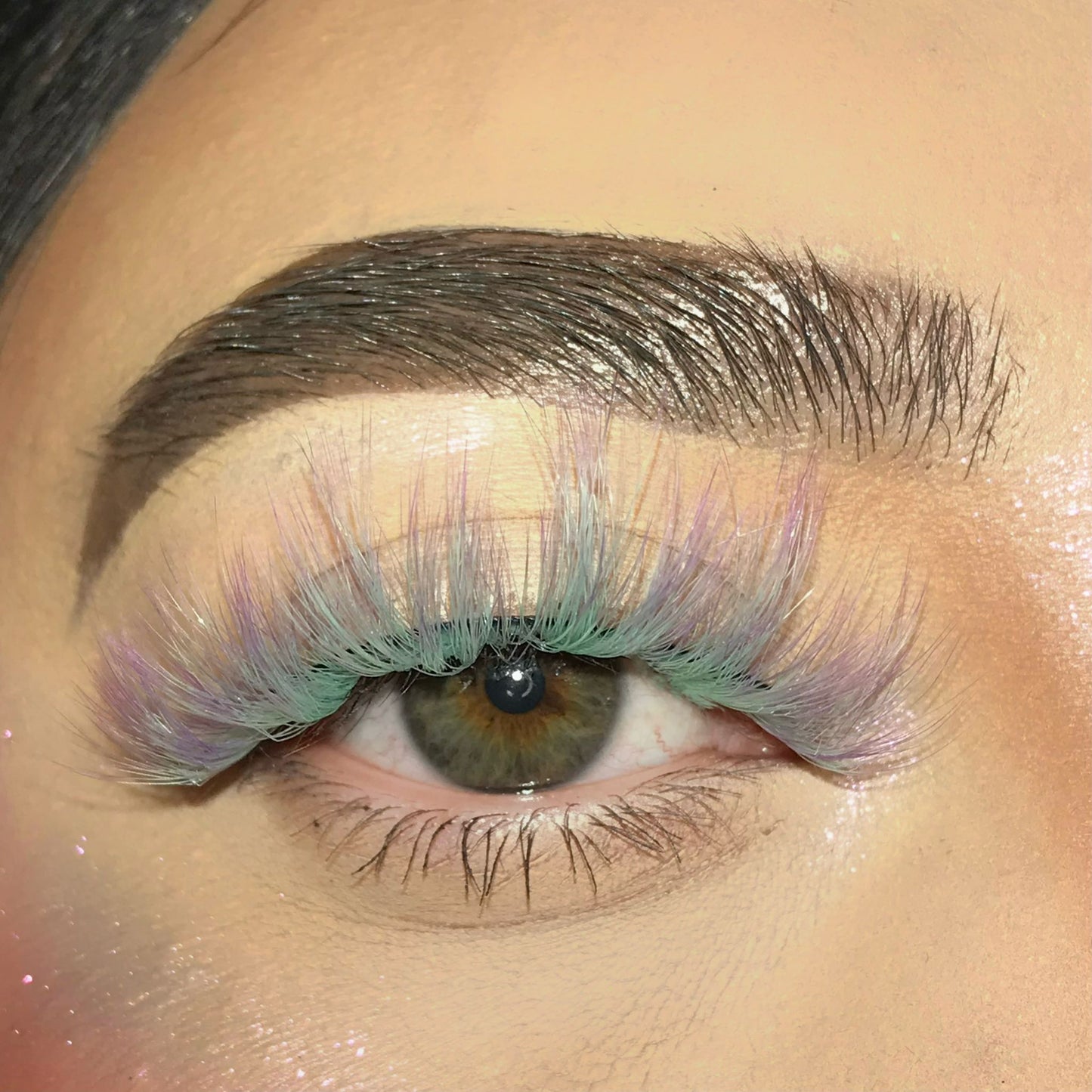 EDC LASH